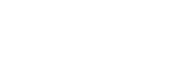 Virality Group